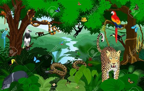 Rainforest Animals Vector | RAINFOREST ANIMAL