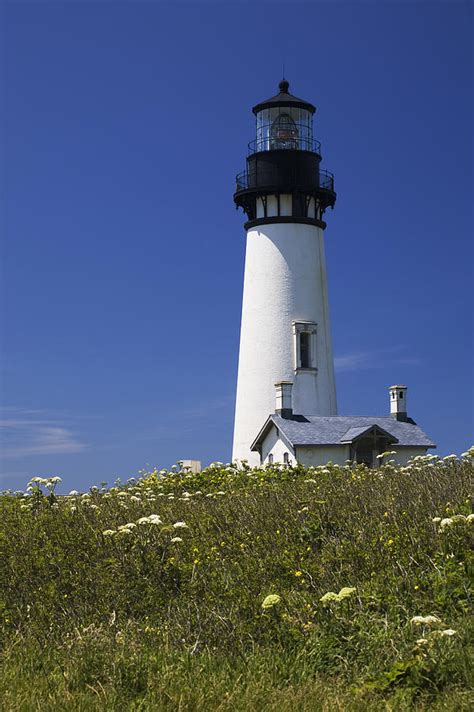 White Lighthouse in Newport Oregon Photograph by Michael Interisano