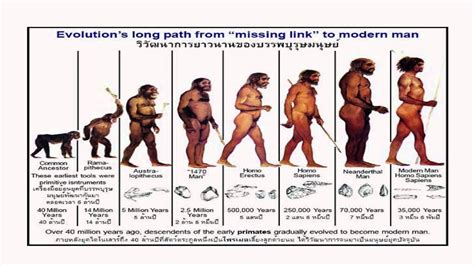 Stages Of Human Evolution Pdf : Human Fetus Set ~ Illustrations ~ Creative Market : Describe how ...