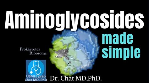 Aminoglycosides: Mechanism of action 【USMLE, biochemistry】 - YouTube