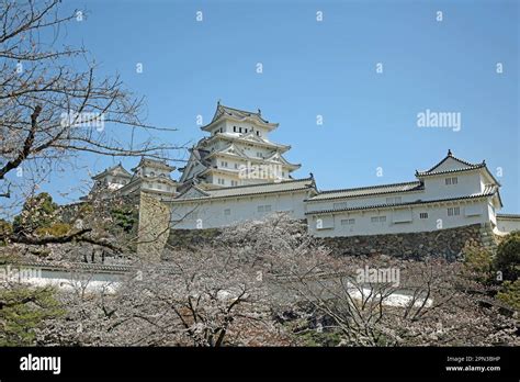 Himeji Castle And Cherry Blossom, Japan Stock Photo - Alamy