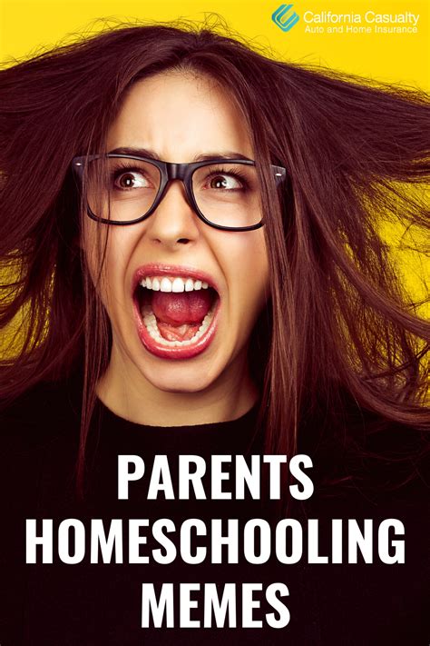 Memes From Parents Homeschooling Their Kids | Teacher memes funny, Homeschool memes, Teaching memes