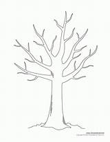 Coloring Pages Of Leaves For Trees  Home sketch template