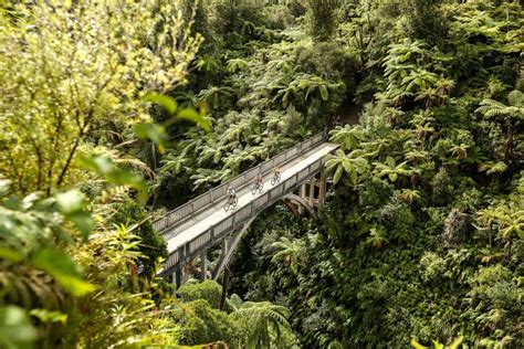 Whanganui National Park - Guide for Backpackers - NZ Pocket Guide