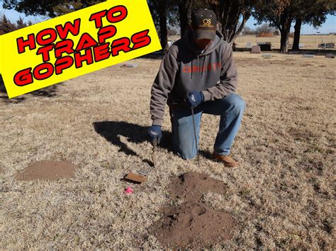 Instructional Gopher Trapping Video Training Series – Get Gophers