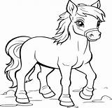 Horse Coloring Book  A Fun Horses And Ponies Beautiful Colouring Pages sketch template