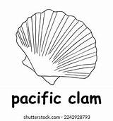 Kids Line Illustration Coloring Pacific Clam Stock Vector Royalty Free  sketch template