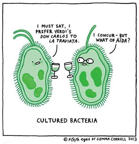 Cultured bacteria | Nerd humor, Science jokes, Science cartoons