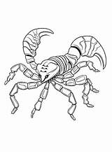 Scorpions Coloring Pages  Free Printable PDF JPG PNG & Online sketch template