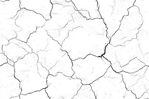 black and white image of cracks in the ground with no leaves on them ...