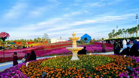 Yanbu Flowers Festival 2019: A Visual Feast - HubPages