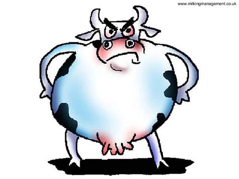 cartoon cow Free cartoonw vector free download jpg - Cliparting.com