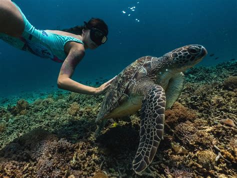 Oahu Snorkeling Tours | Discover the Top Snorkeling Tours on Oahu!