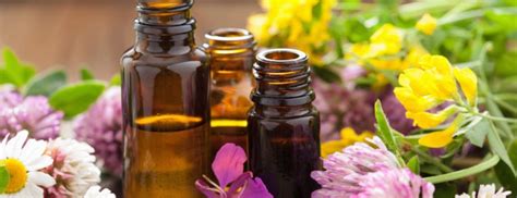 The Best Massage Oils | Aromatherapy Massages | Holland & Barrett