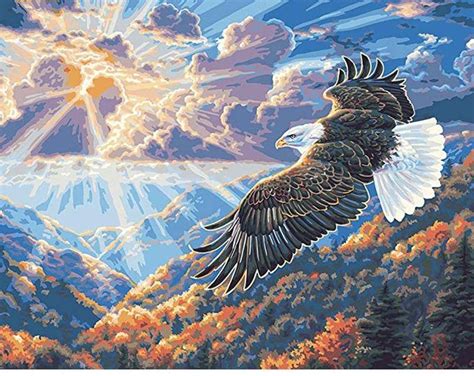 Soaring Eagle – Paint By Numbers