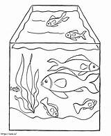 Aquarium Tank coloring Page sketch template