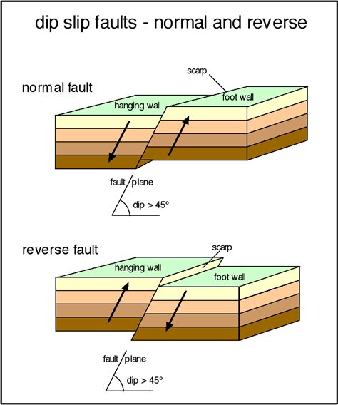 dip slip fault -a fault on which the movement is parallel to the dip of ...