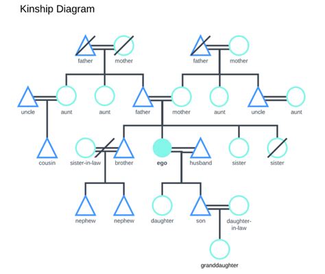 How to Make a Kinship Diagram | Lucidchart Blog