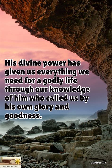 His divine power has given us everything we need for a godly life ...