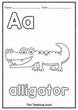 Letter A Alligator Coloring Pages sketch template