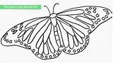 Top 25 Free Printable Butterfly Coloring Pages  YouTube sketch template