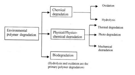 Mechanisms of polymer degradation (Vasile as cited in Arutchelvi et... | Download Scientific Diagram