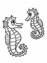 Seahorse Coloring Pages Bring Majestic Sea Creatures To Life 🌊🐴  sketch template