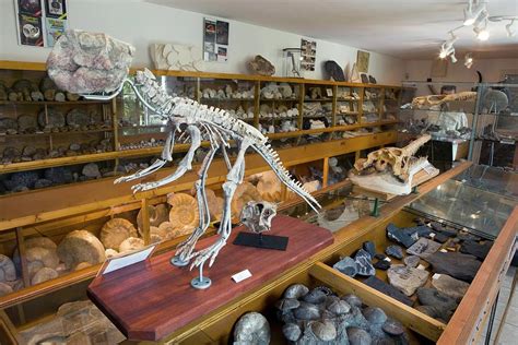 Fossil Museum Photograph by Pascal Goetgheluck/science Photo Library