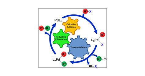 Computational Perspective on Pd-Catalyzed C–C Cross-Coupling Reaction ...