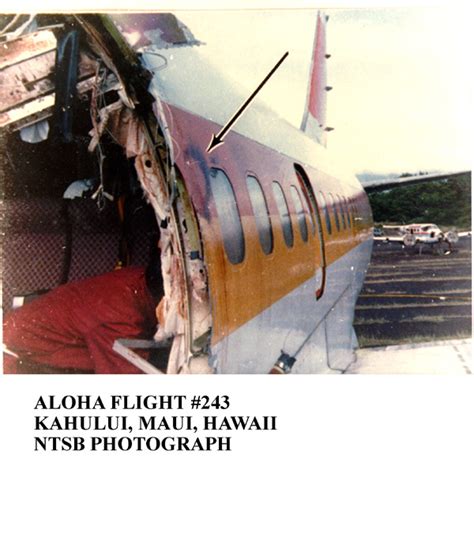 👍 Aloha airlines flight 243 flight attendant. It's been 30 years since the Aloha Airlines flight ...