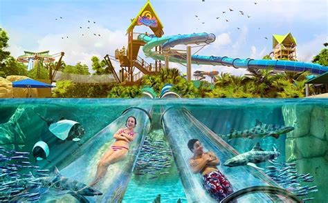 Ray Rush – Aquatica Orlando Water Park Slide | Aquatica Orlando