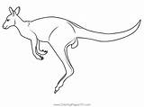 Australian Kangaroo Coloring Page For Kids  Free Australia Printable sketch template