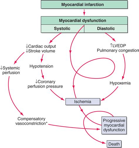 [DIAGRAM] Pulmonary Edema Diagram - MYDIAGRAM.ONLINE