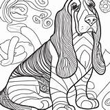 Basset Hound Coloring Page · Creative Fabrica sketch template