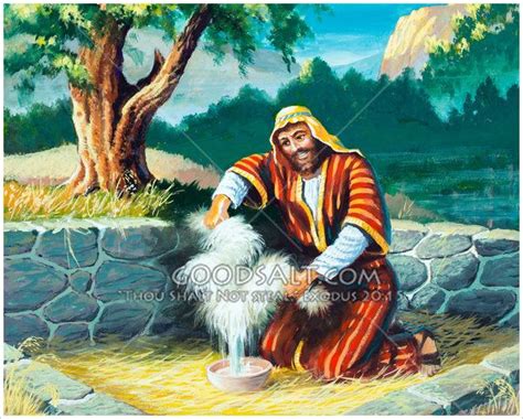 Gideon rings a bowl-full of water out of a wet fleece - a miraculous answer from God. | Bible ...