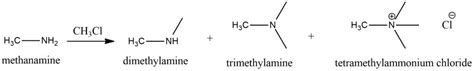 Methylamine: Properties, Synthesis, and Uses - Safrole