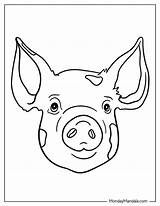 30 Pig Coloring Pages Free PDF Printables sketch template