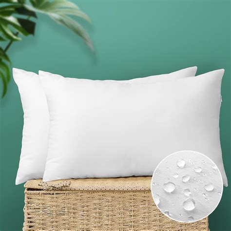 Amazon.com: OTOSTAR Outdoor Throw Pillow Inserts - Pack of 2 Water ...