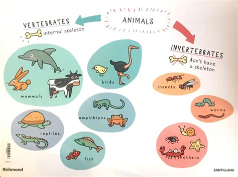 The Little Scientikids 2019 "Animal World": Living and non living ...