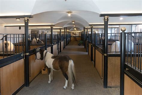 Equestrian Property