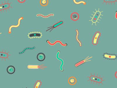 Microbes! by Caitlin Cadieux on Dribbble