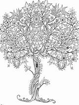 Free Coloring Pages Of Trees sketch template