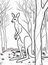 Cute Kangaroo Coloring Page  Free Printable Pages sketch template