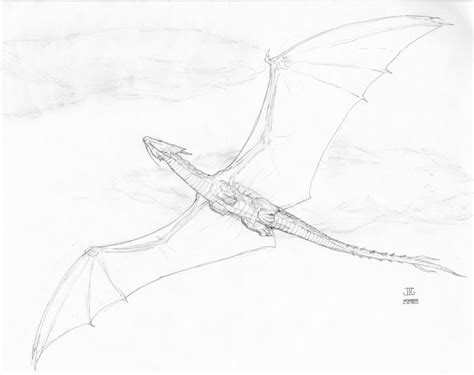 Flying Dragon Sketch by J-Ian-Gordon on DeviantArt