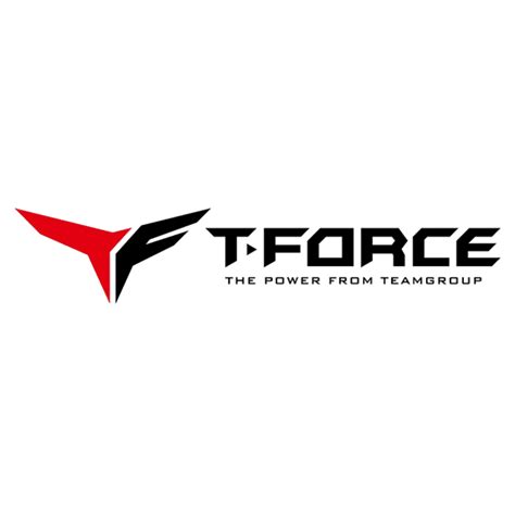 T-Force - TeamGroup - LX INDIA