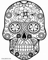 Skull Printable Coloring Pages  Word Searches sketch template
