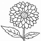 Big Flower Coloring Pages sketch template