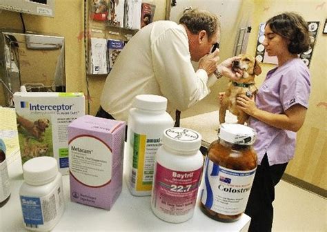 Retailers shaking up pet medicines market, but consumers continue to rely on vets for serious ...