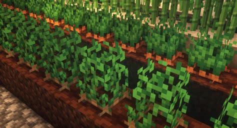 Farming Guide on Minecraft SkyBlock | OneBlock MC