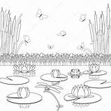 Coloring Page With pond Inhabitants And Plants Stock Vector By  sketch template